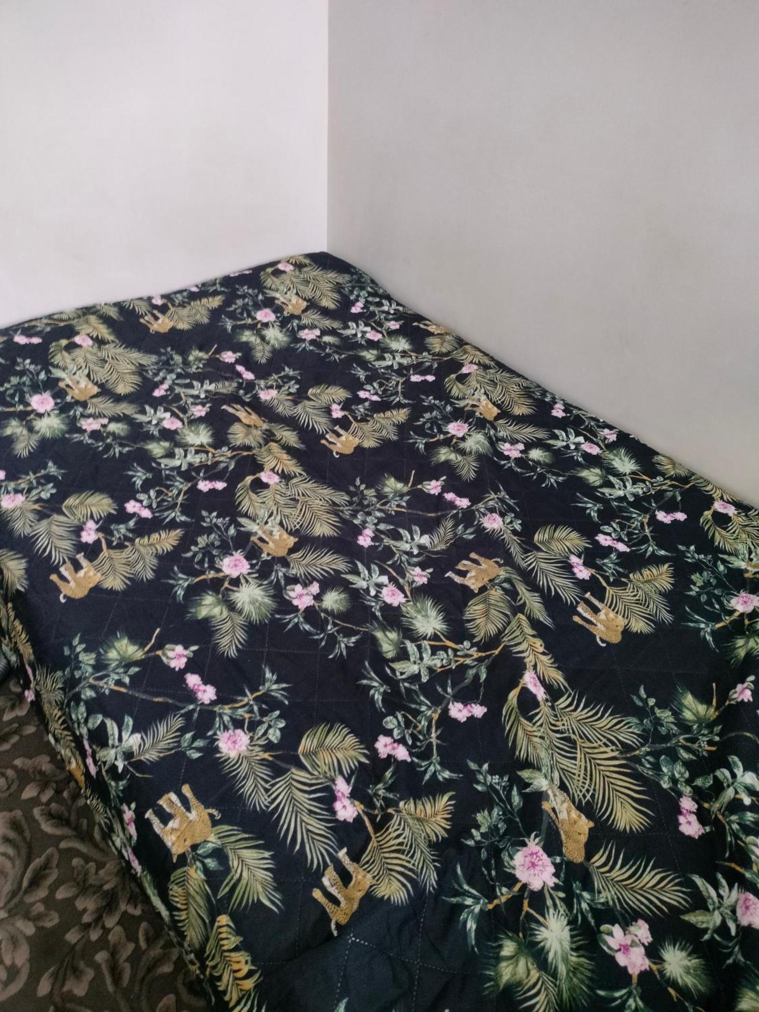 Cute Rooms Near The Centrum 格但斯克 外观 照片